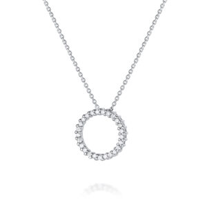 שרשרת מעגל החיים