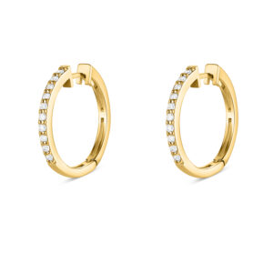 עגילי האגיס